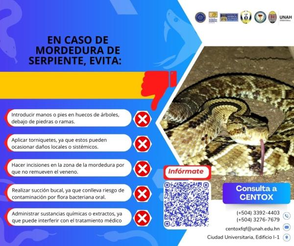 En caso de mordedura de serpiente evita