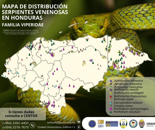 mapa viperidae