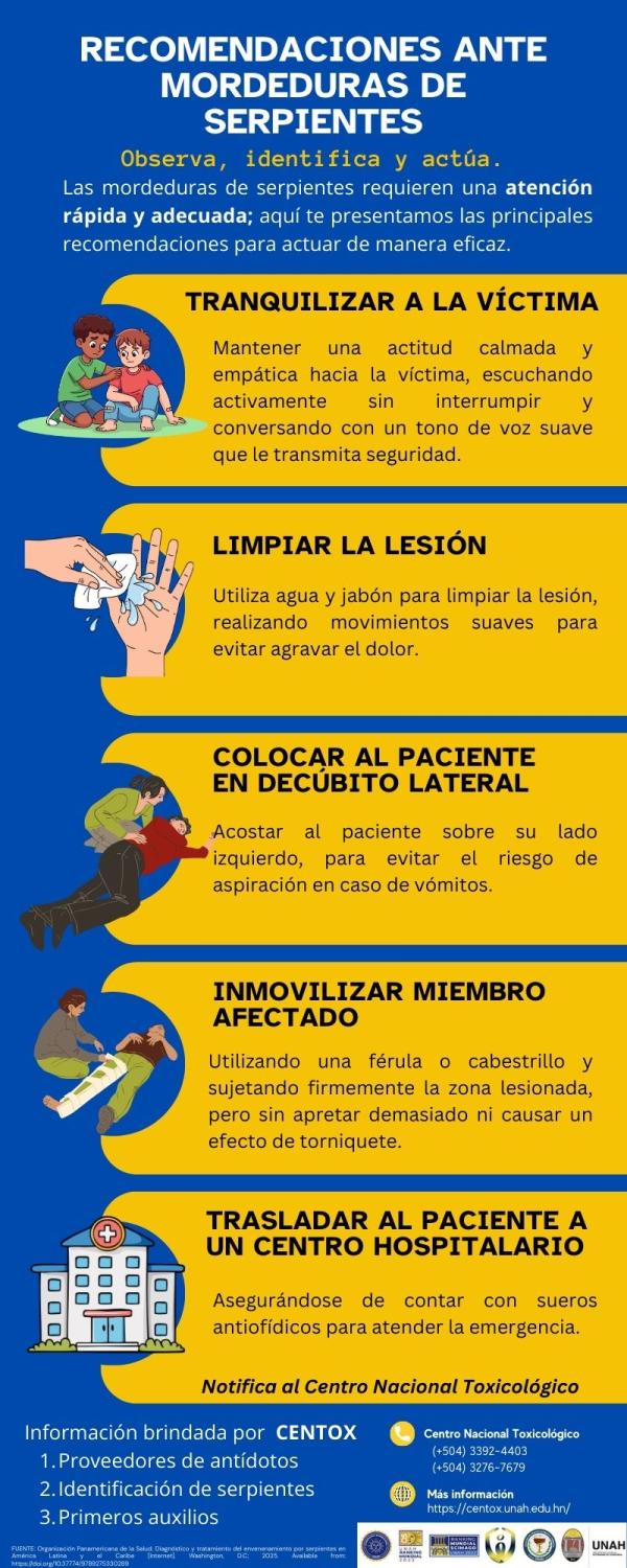 Recomendaciones ante mordedura de serpientes