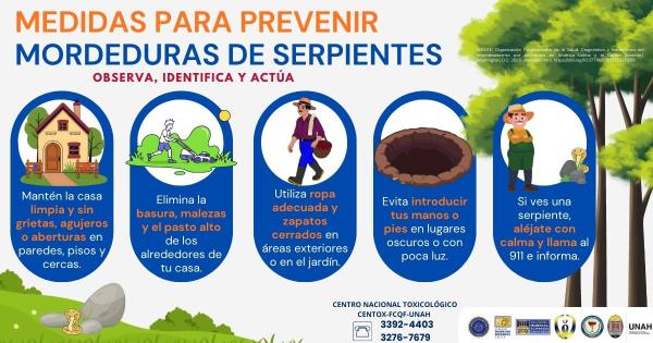 medidas para prevenir mordeduras de serpientes 1 2027
